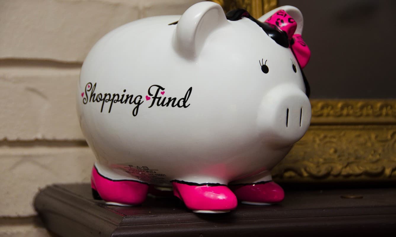 Piggy bank for a shopping fund