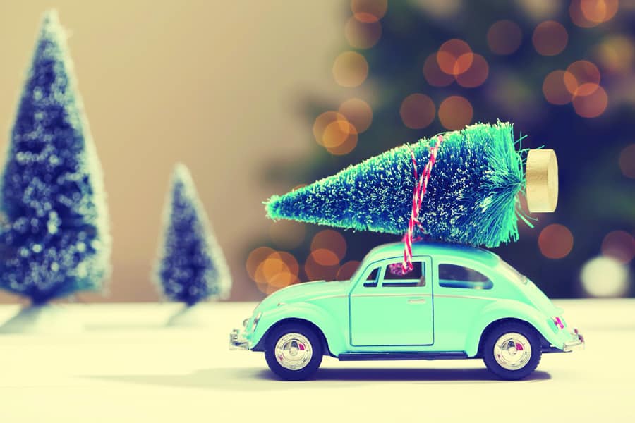 Tiny car carrying a Christmas tree
