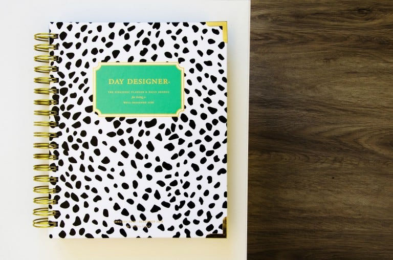 Day Designer Planners: The Beginner's Guide - Earn Spend Live