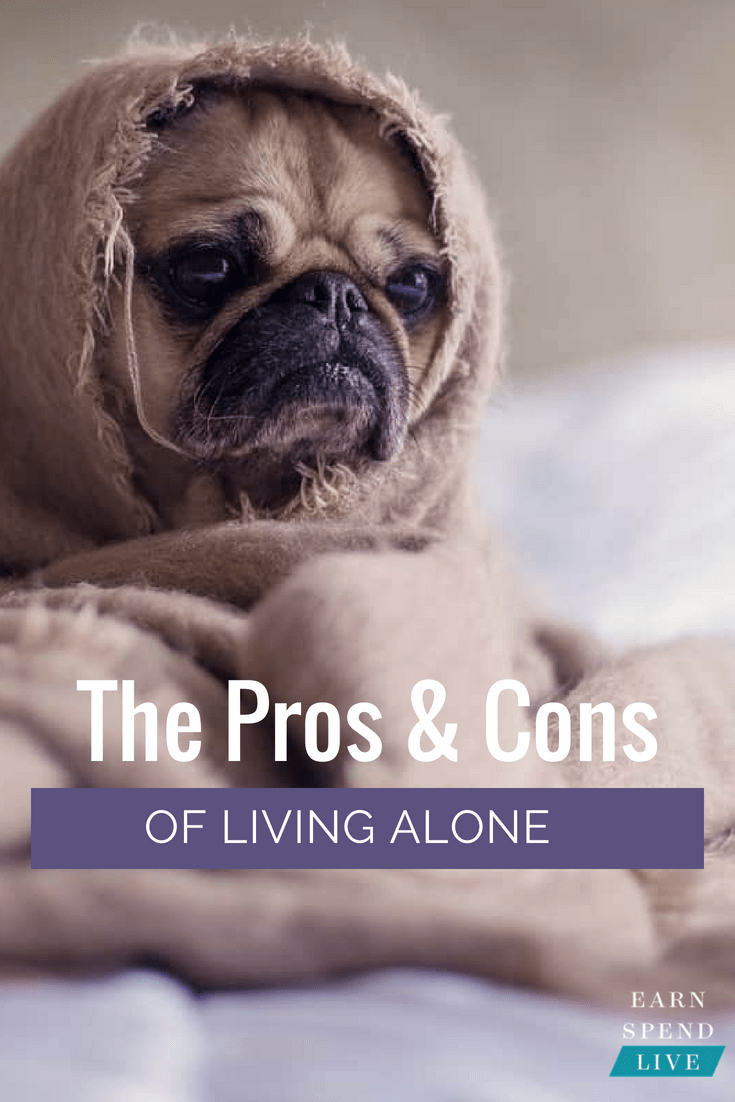 Living alone is a big decision to make, so you should think through all of the pros and cons before packing up and waving goodbye to your roommates.