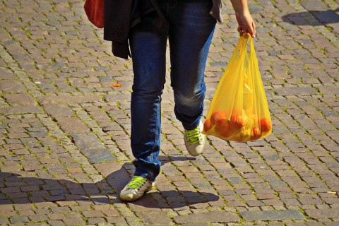woman carrying a grocery bag