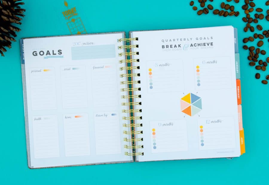 2017 liveWELL Classic Planner by inkWELL Press: Goal-Setting #Goals