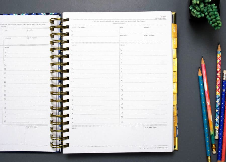 2017 Day Designer Planner Review PlannerGoals Earn Spend Live