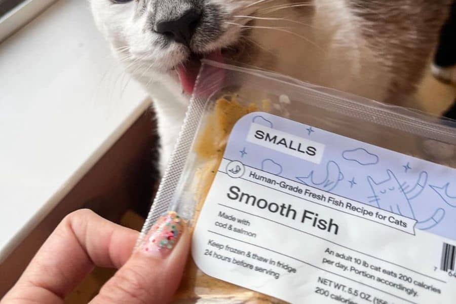 Cat licking the Smalls food package