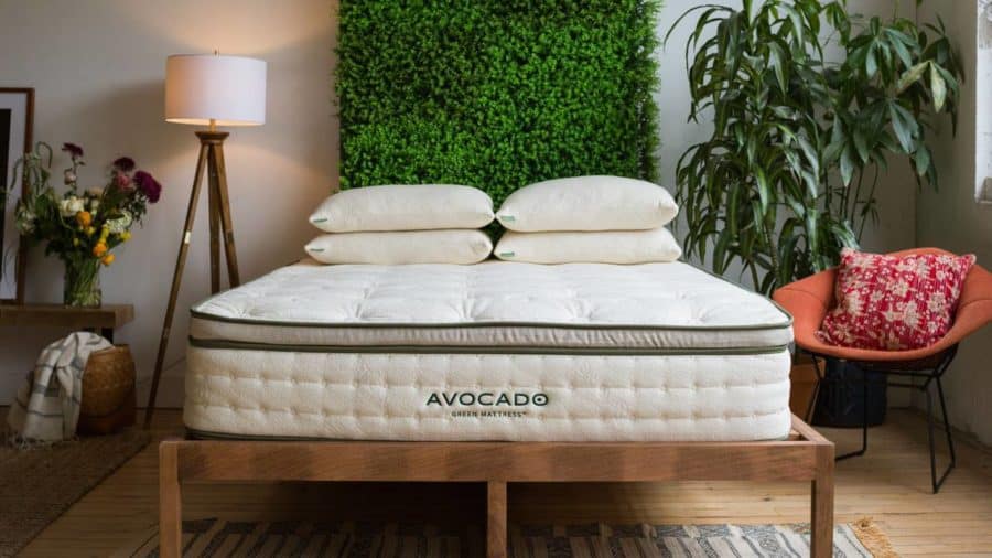best mattresses - avocado mattress