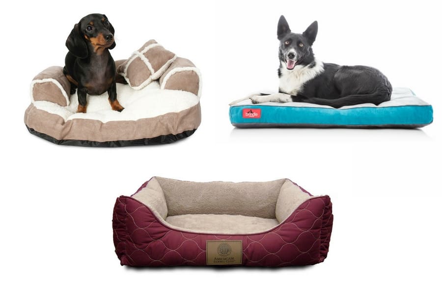 dog mom essentials - dog beds