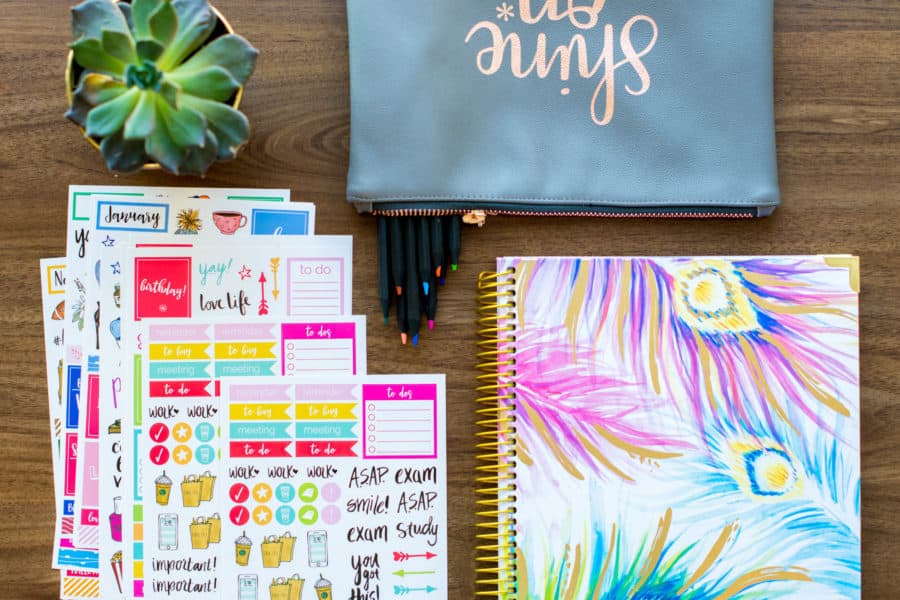 Bloom Daily Planners: Vision Planner Review