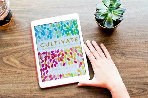 The Cultivate Book by Lara Casey Review