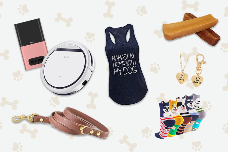 20 Best Gifts for Dog Lovers