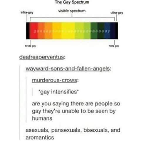 Spectrum of sexuality illustrating that asexual people are often overlooked