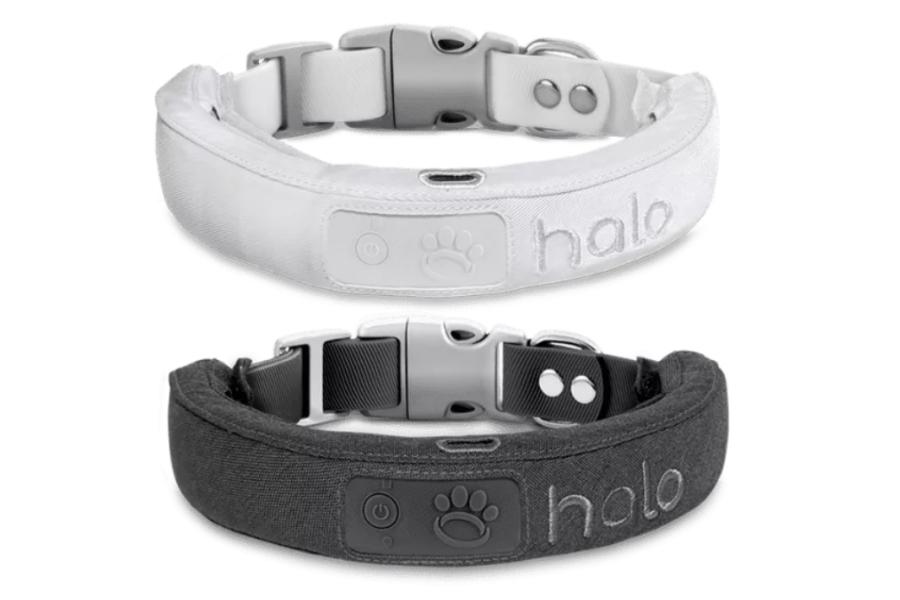 The Halo Collar