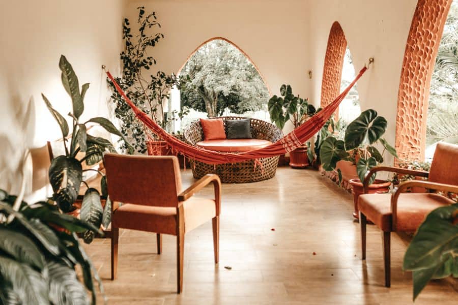 A relaxing sitting area with many plants
